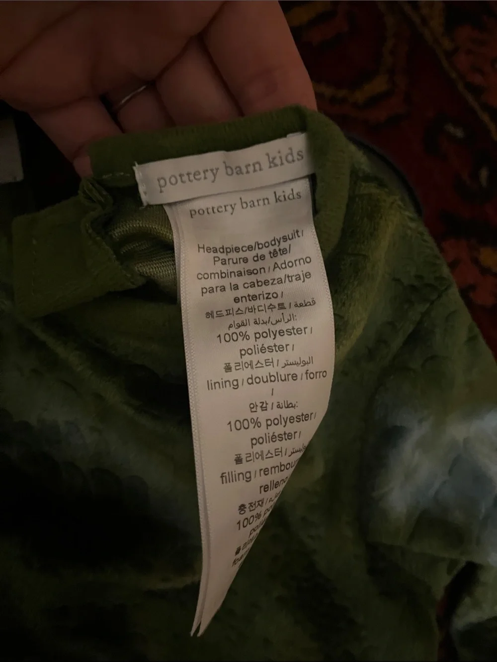 Pottery Barn Dino Egg Kids Costume - 0-6mo